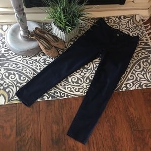 LC Lauren Conrad Dark Wash Denim Navy Skinny Pants